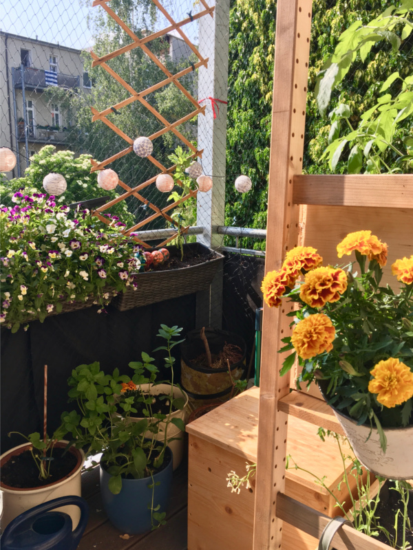 Jahresrückblick 2021 - Balkon, auf dem man Pflanzkästen, ein Pflanzregal, Blumen und eine Wurmkiste sehen kann