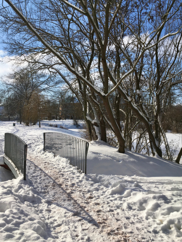Jahresrückblick 2021 - schneebedeckte Winterlandschaft, ein Baum und eine Brücke, die über einen kleinen Bach führt